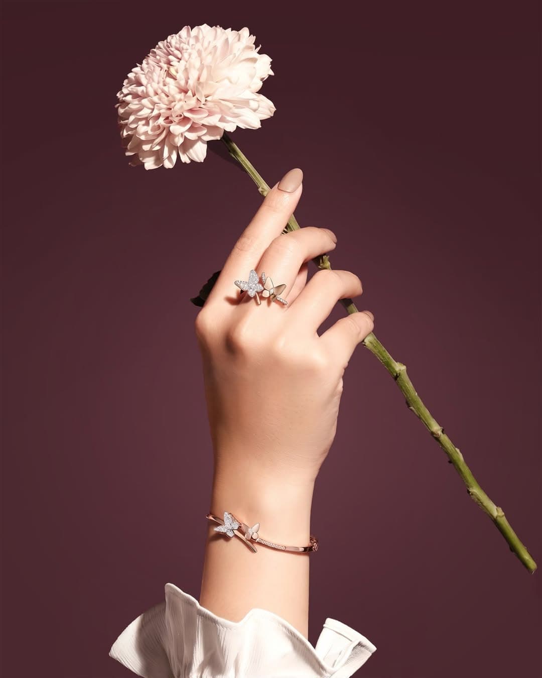 Keanggunan Model Cincin Terbaru dengan Hiasan Kupu-Kupu dari Frank & co.