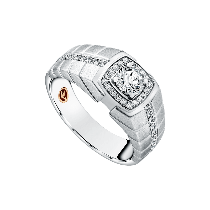 Frank & co. Titan Men'S Jewellery