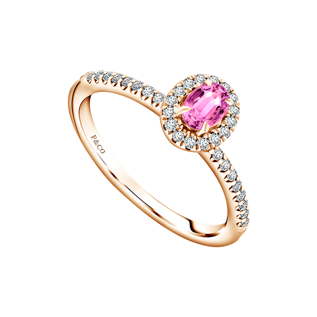 Cincin Tunangan Terbaru yang Mempesona dari Frank & co.  