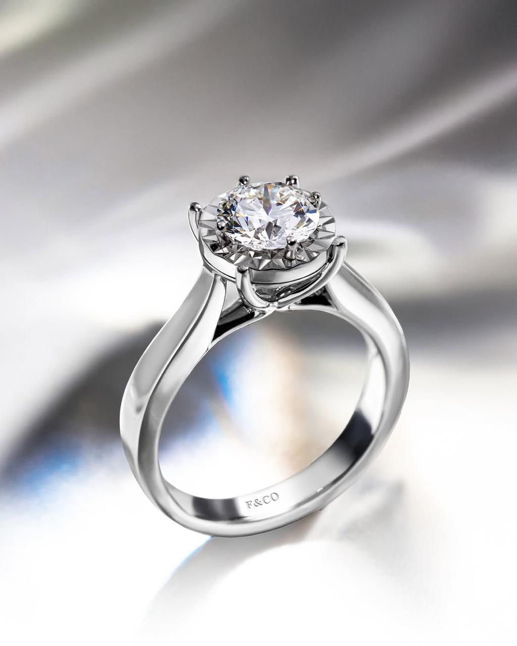 Campaign Frank & co. Natural Brilliance