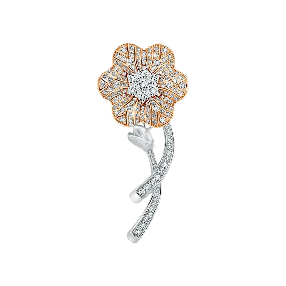 Frank & co. Water Lily Collection